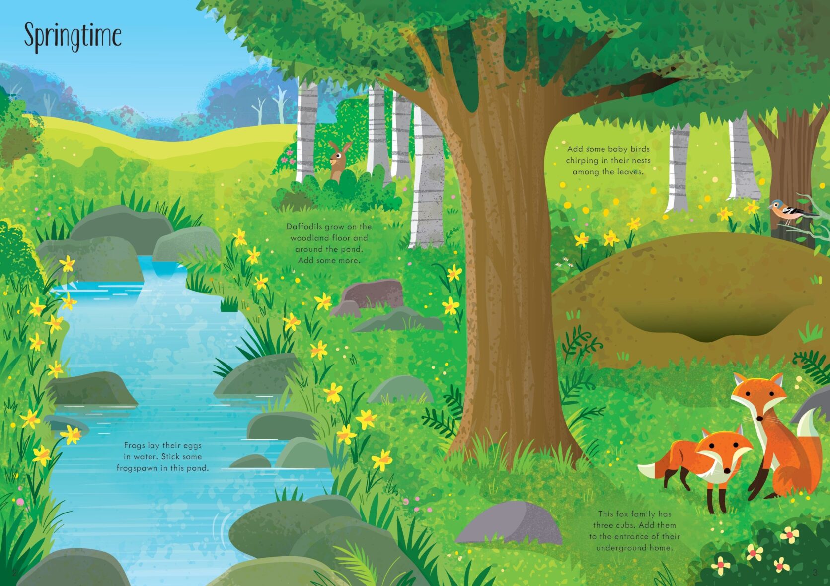 9781474968201 Usborne Little First Stickers Woodlands jucariidezece.ro.jpg (4)