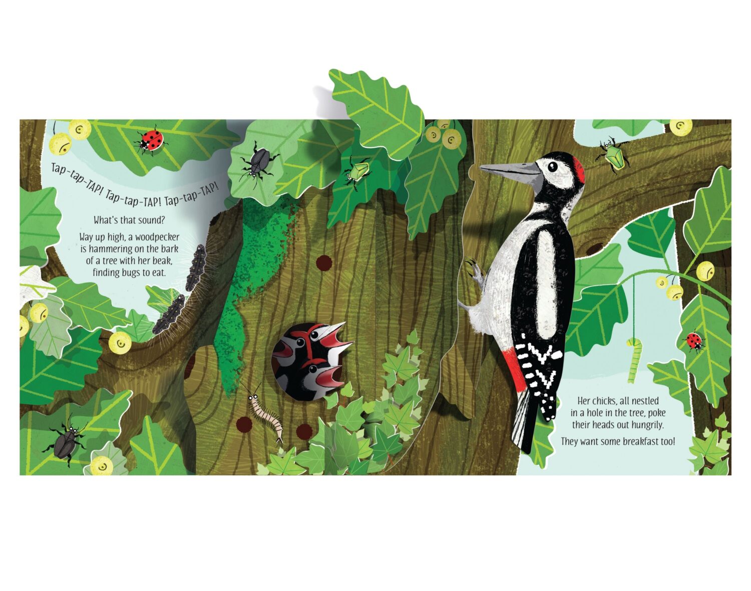 9781474972086 Usborne Pop up Book Nature jucariidezece.ro (2)