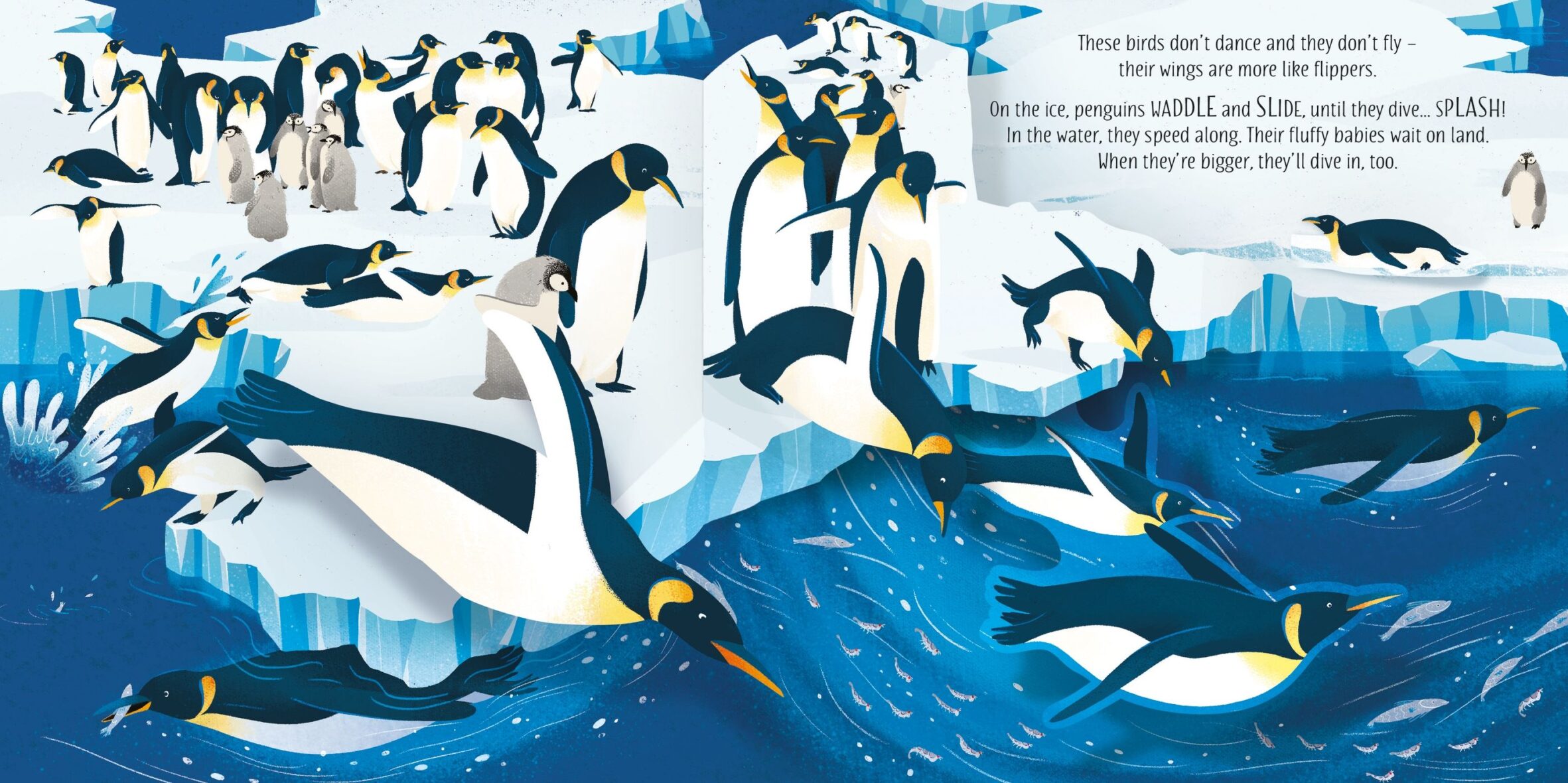 9781474986045 Usborne Book Pop up Birds – Carte 3D jucariidezece.ro (3)
