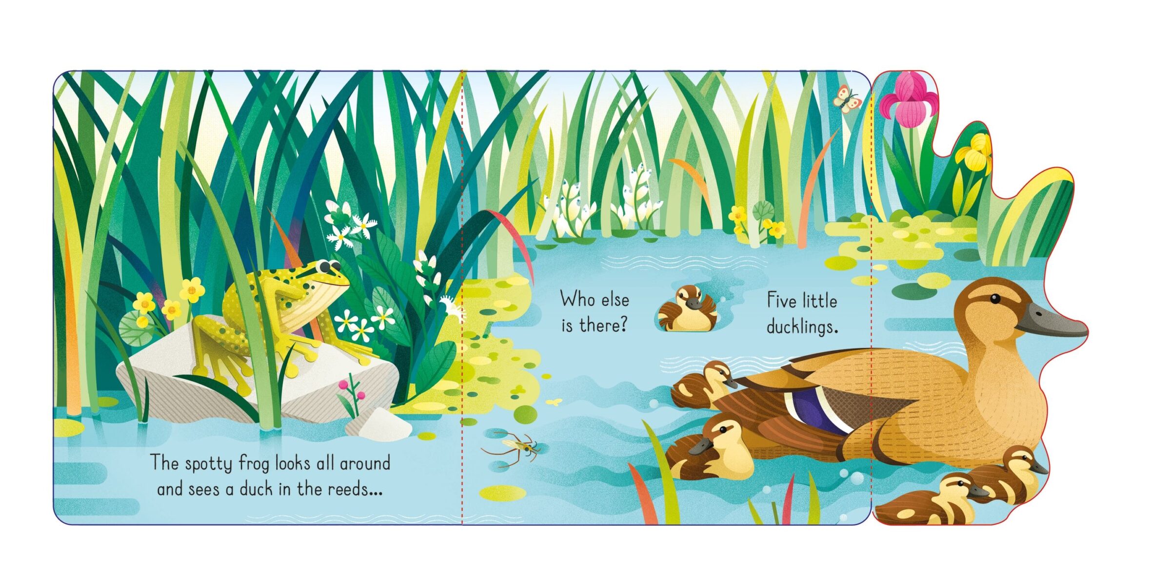 9781474986052 Usborne Little Lift and Look Spotty Frog jucariidezece.ro (3)