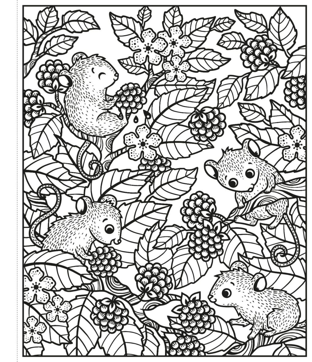 9781474970815 Carte de pictat cu apa Woodland Magic Painting Book Usborne jucariidezece.ro (4)
